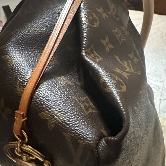 Louis Vuitton Artsy - Picture 13 of 16